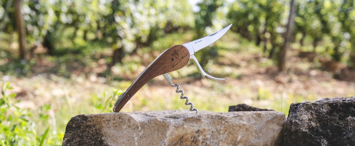 L’Atelier du Vin et la Maison Albert Bichot : la passion du savoir-faire