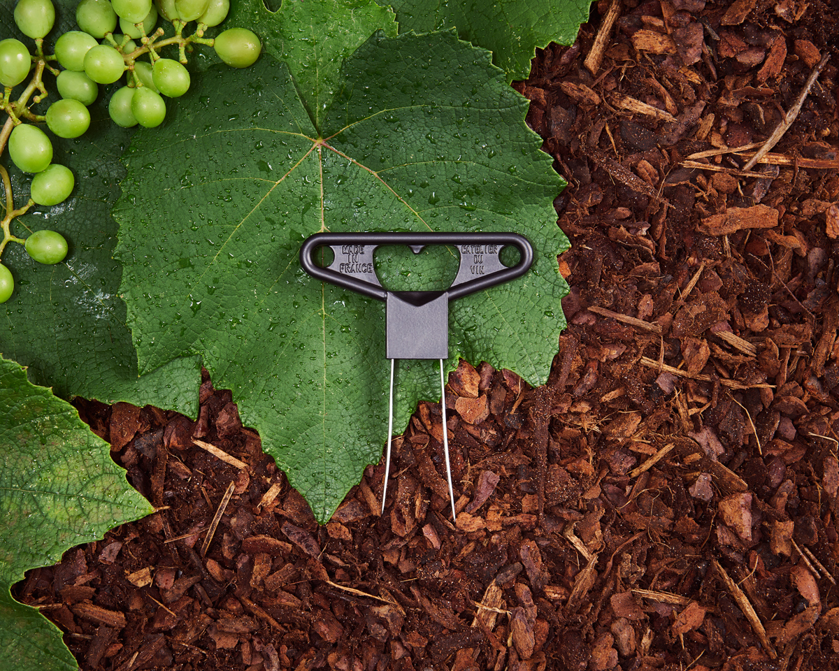 Tire-bouchon Bilame Noir déposé sur une feuille de vigne avec en arrière plan une grappe de raisin