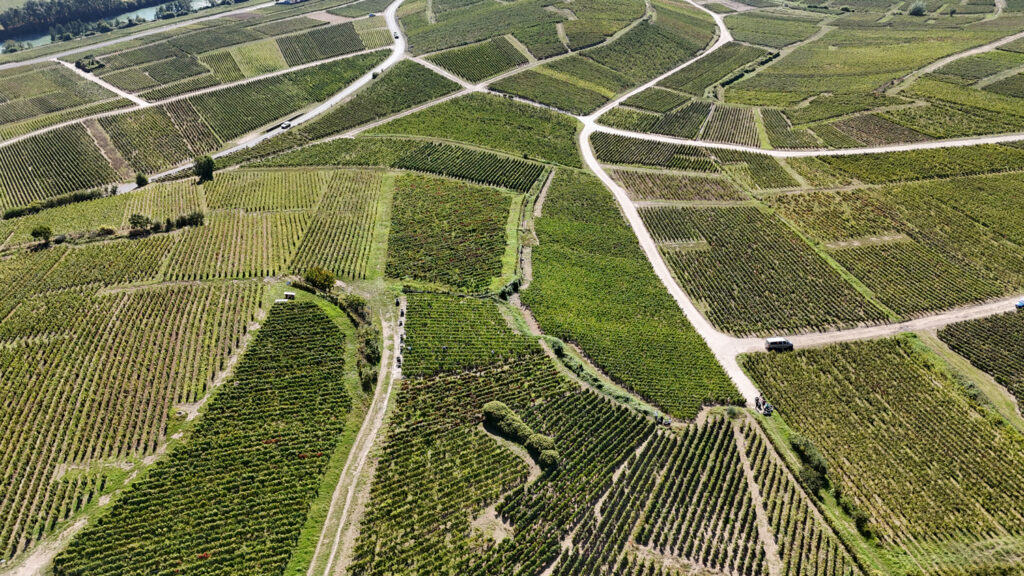 Parcelles de vignes vue du dessus en champagne